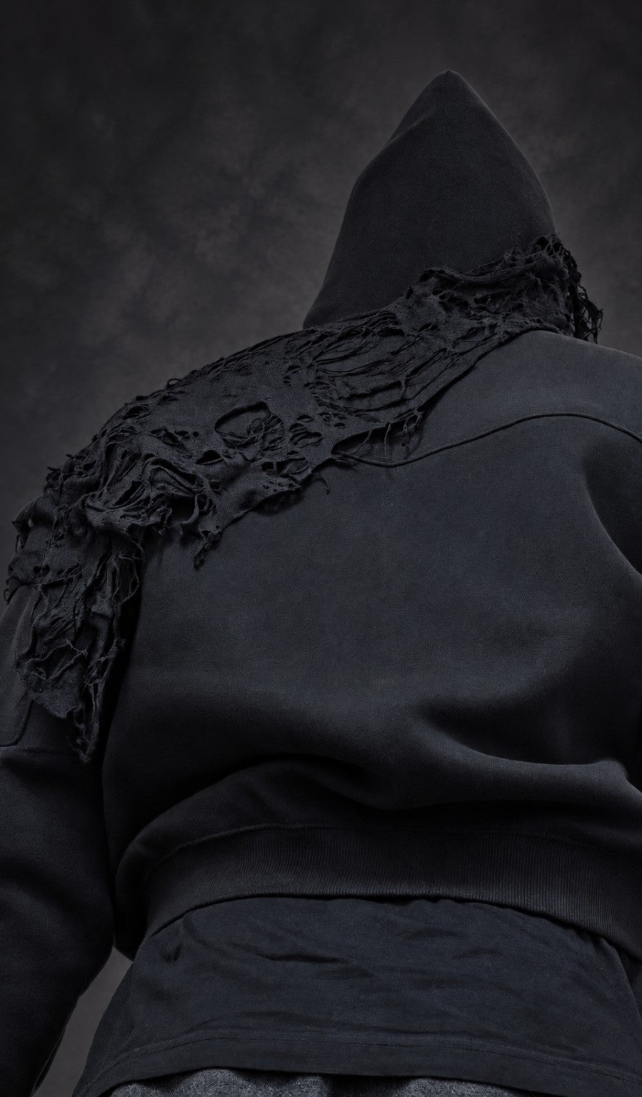 Sovereign Cropped Hoodie — Worn back